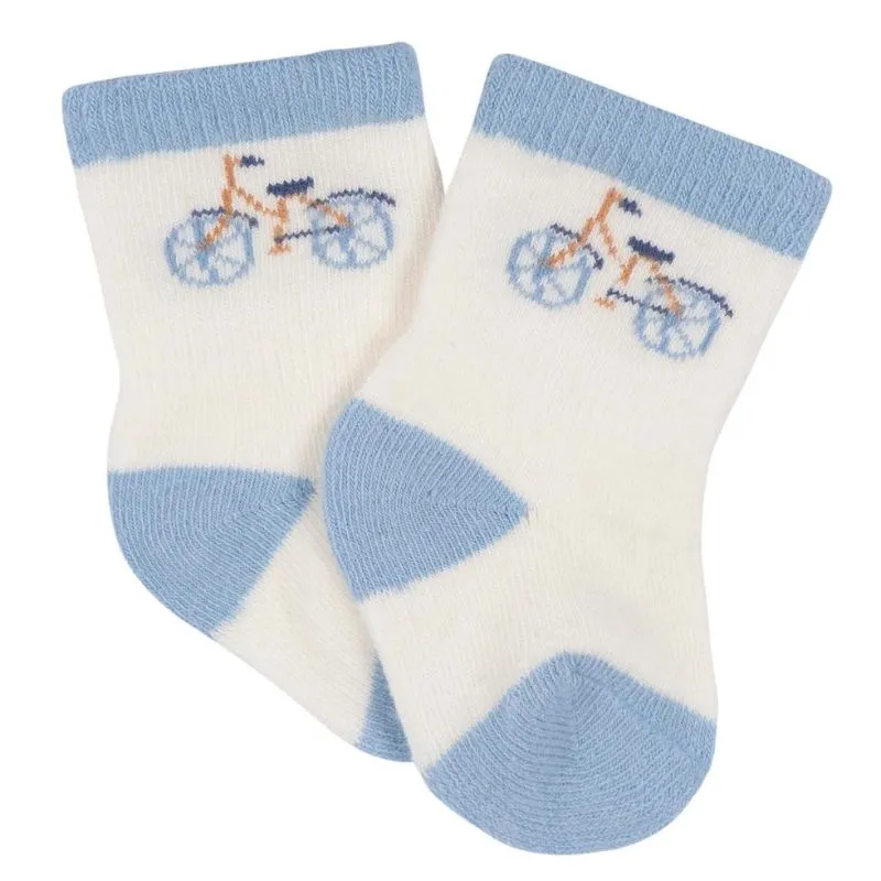 Crew Socks - 6 Pack