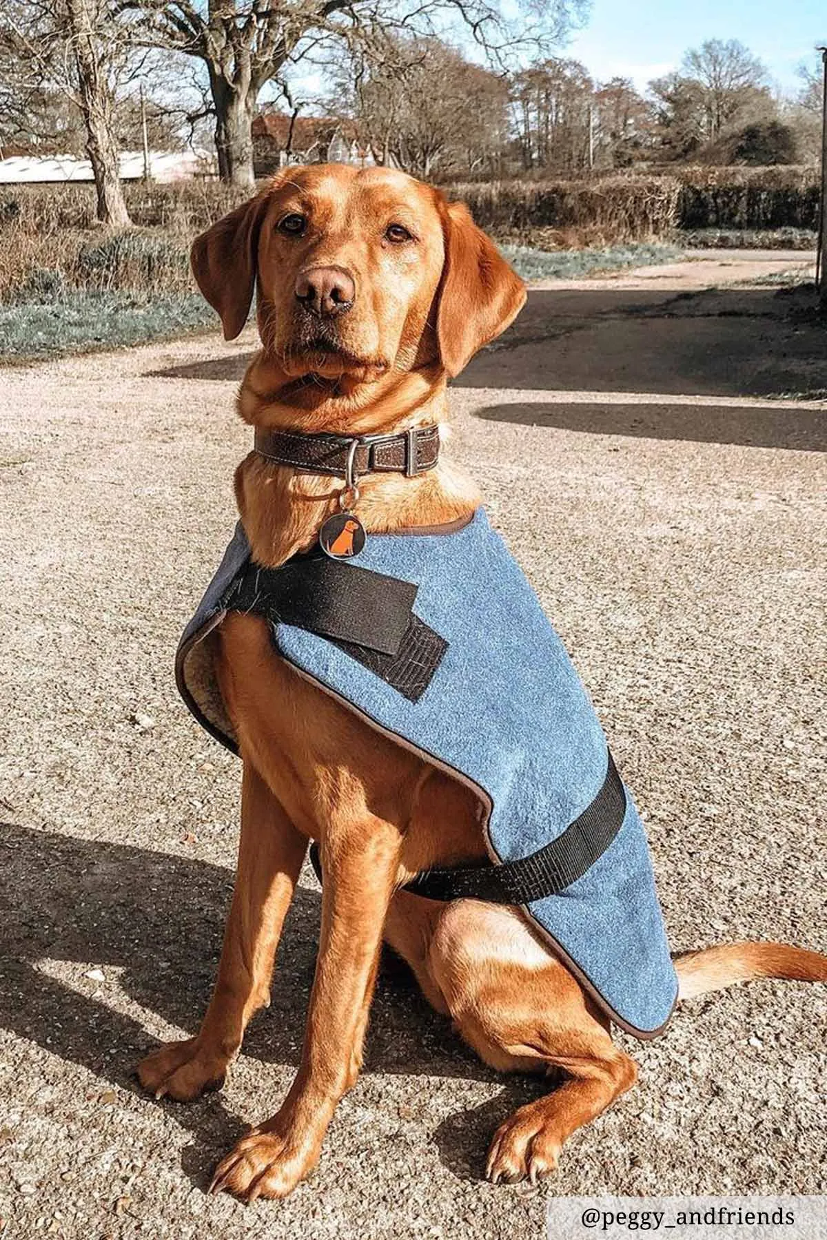 Fleece Dog Coat