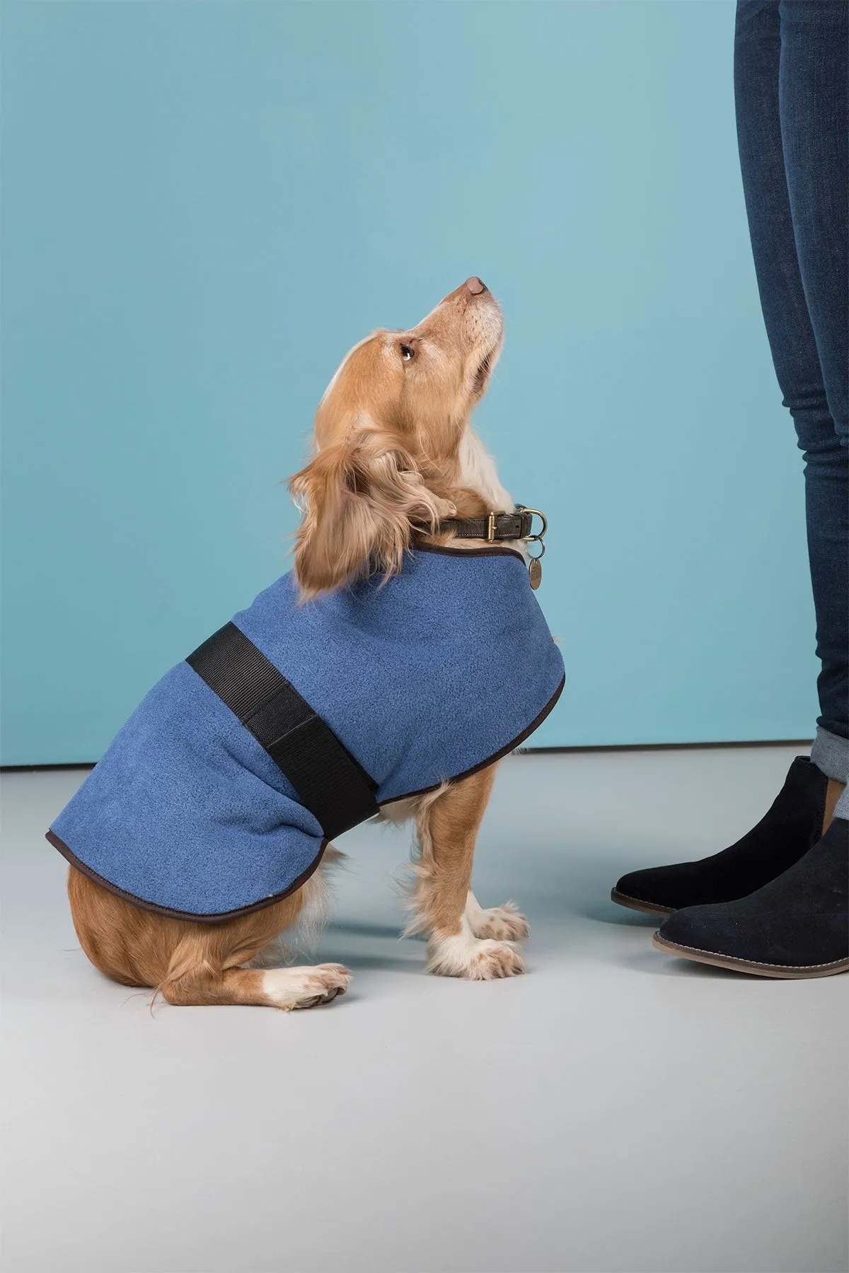 Fleece Dog Coat