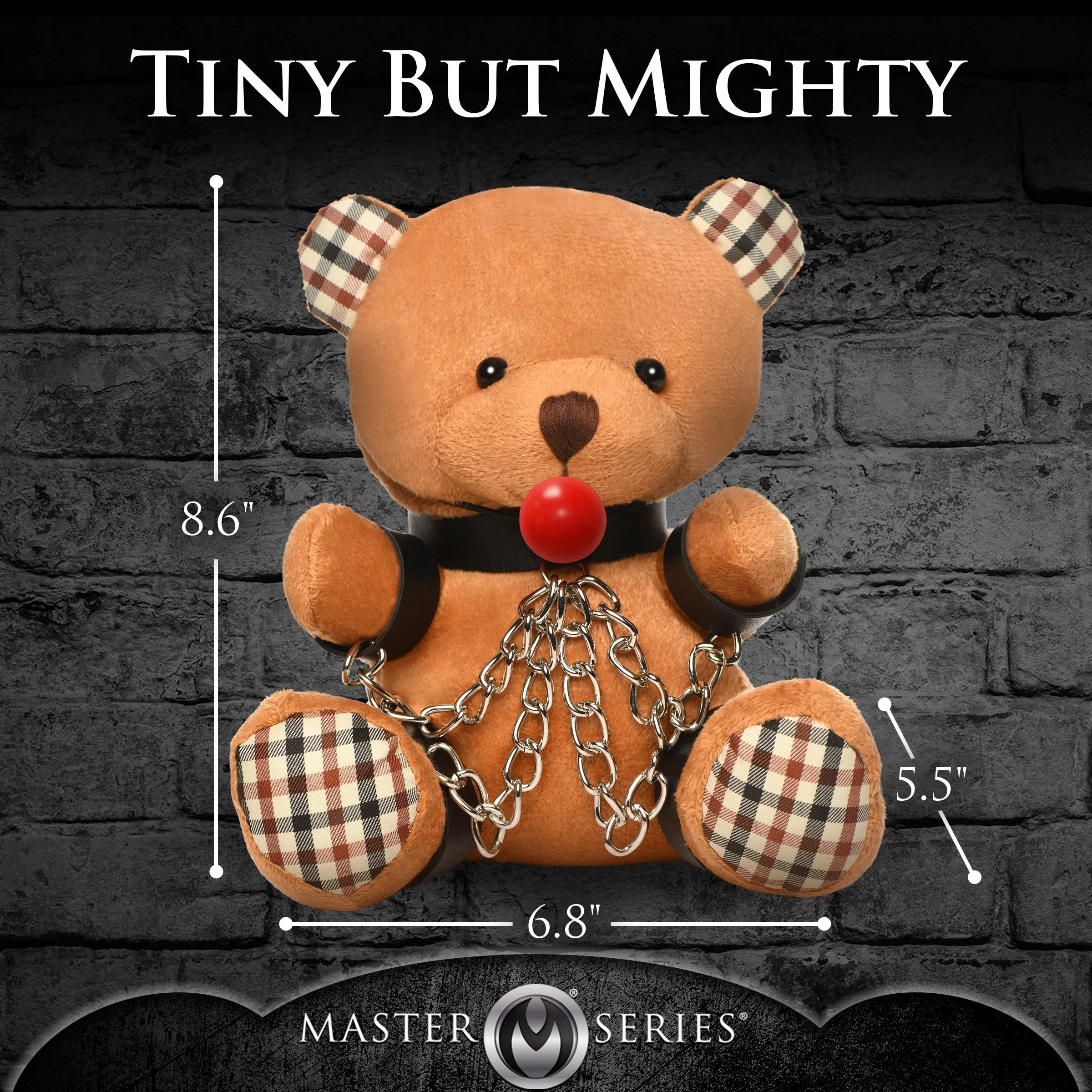 Gagged Bondage Teddy Bear