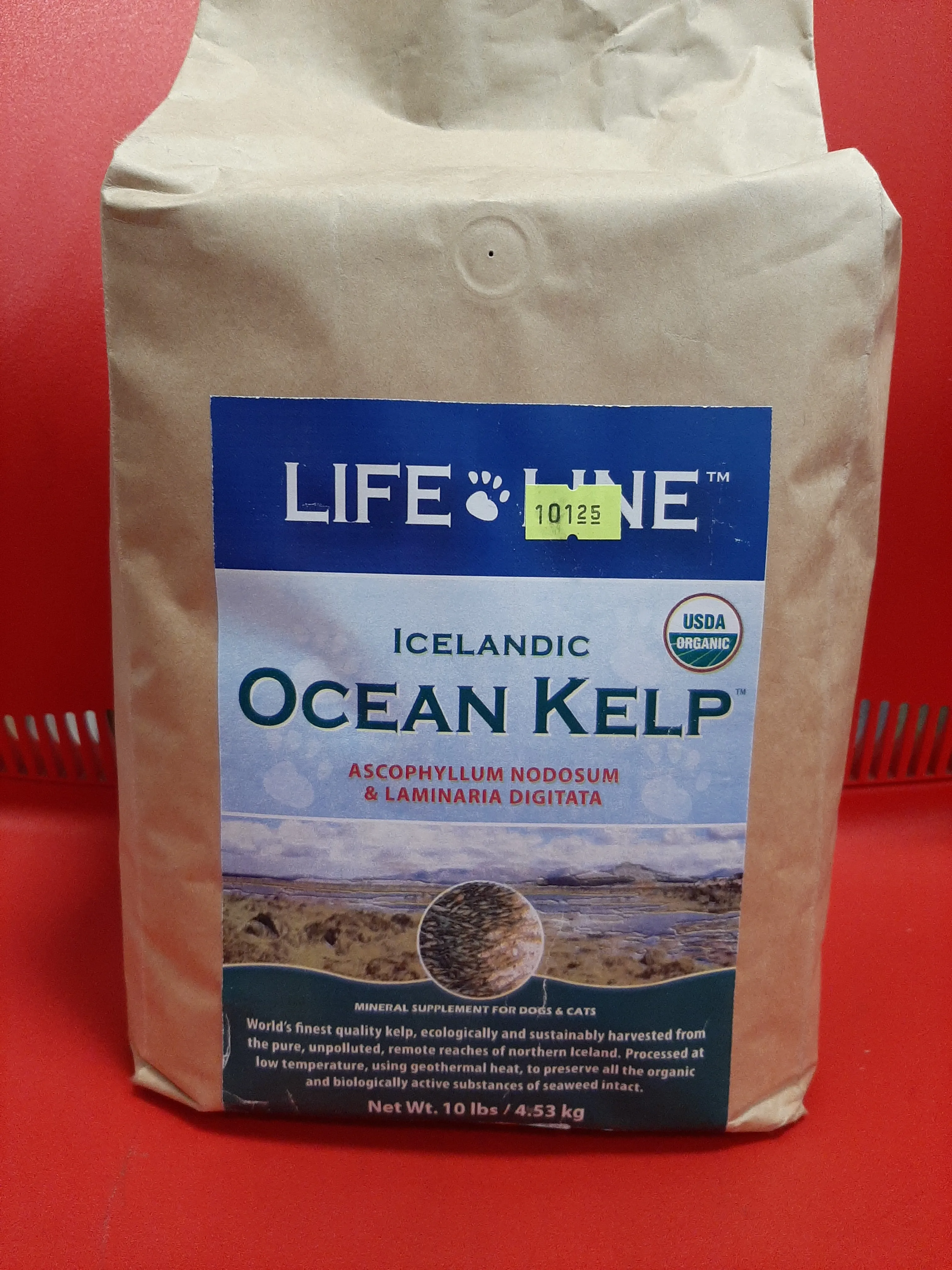 Life Line Icelandic Ocean Kelp