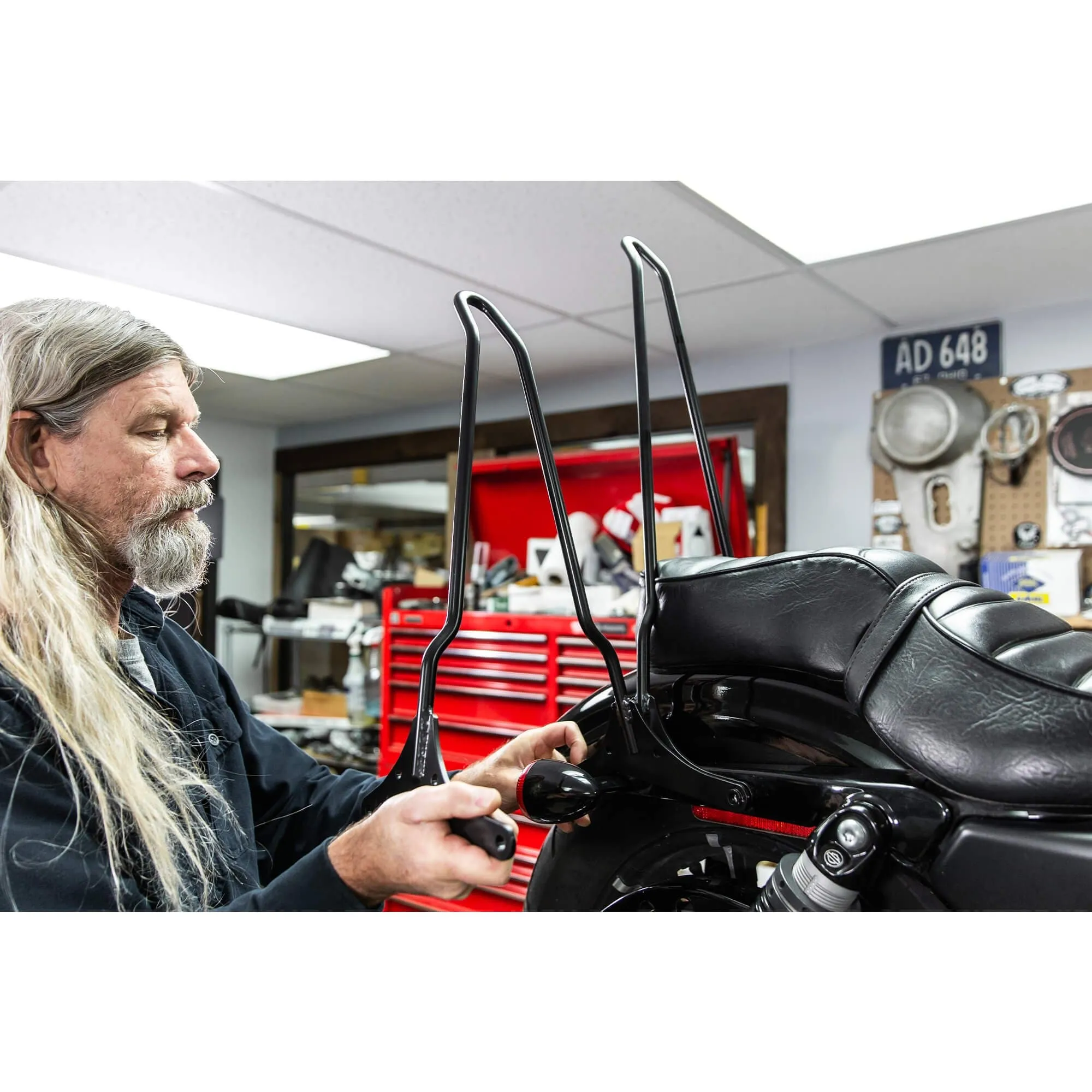 Tall Chopper Bolt On Sissy Bar - 2004 & Up Sportsters