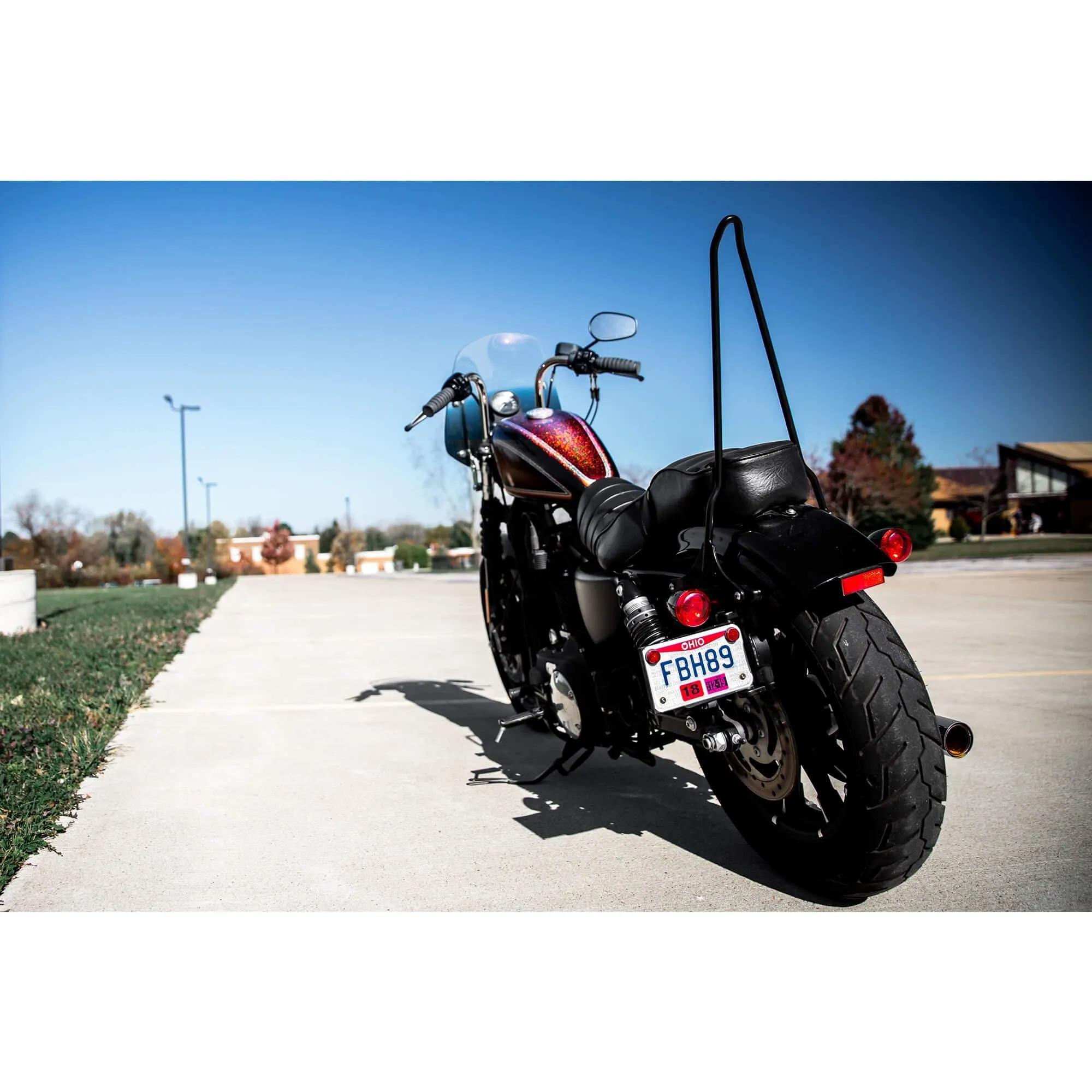 Tall Chopper Bolt On Sissy Bar - 2004 & Up Sportsters