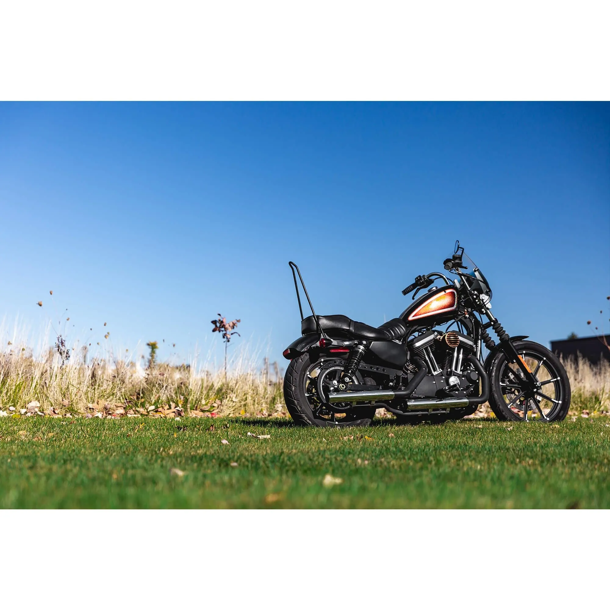 Tall Chopper Bolt On Sissy Bar - 2004 & Up Sportsters