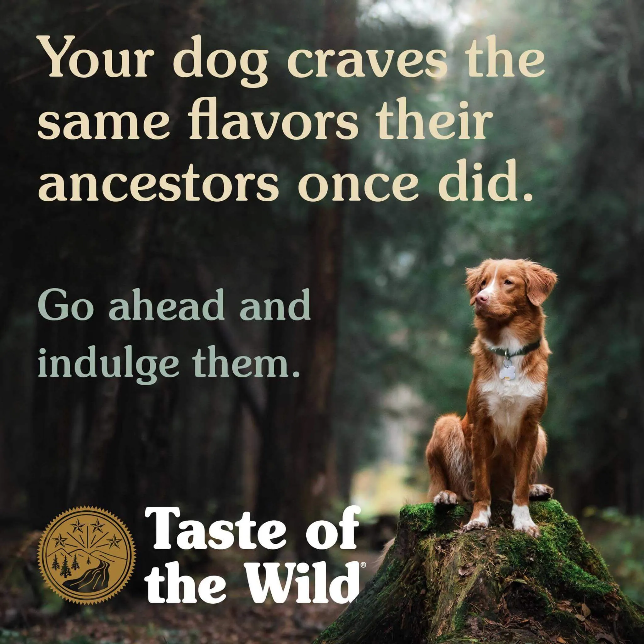 Taste of the Wild Ancient Grains Dry Dog Food