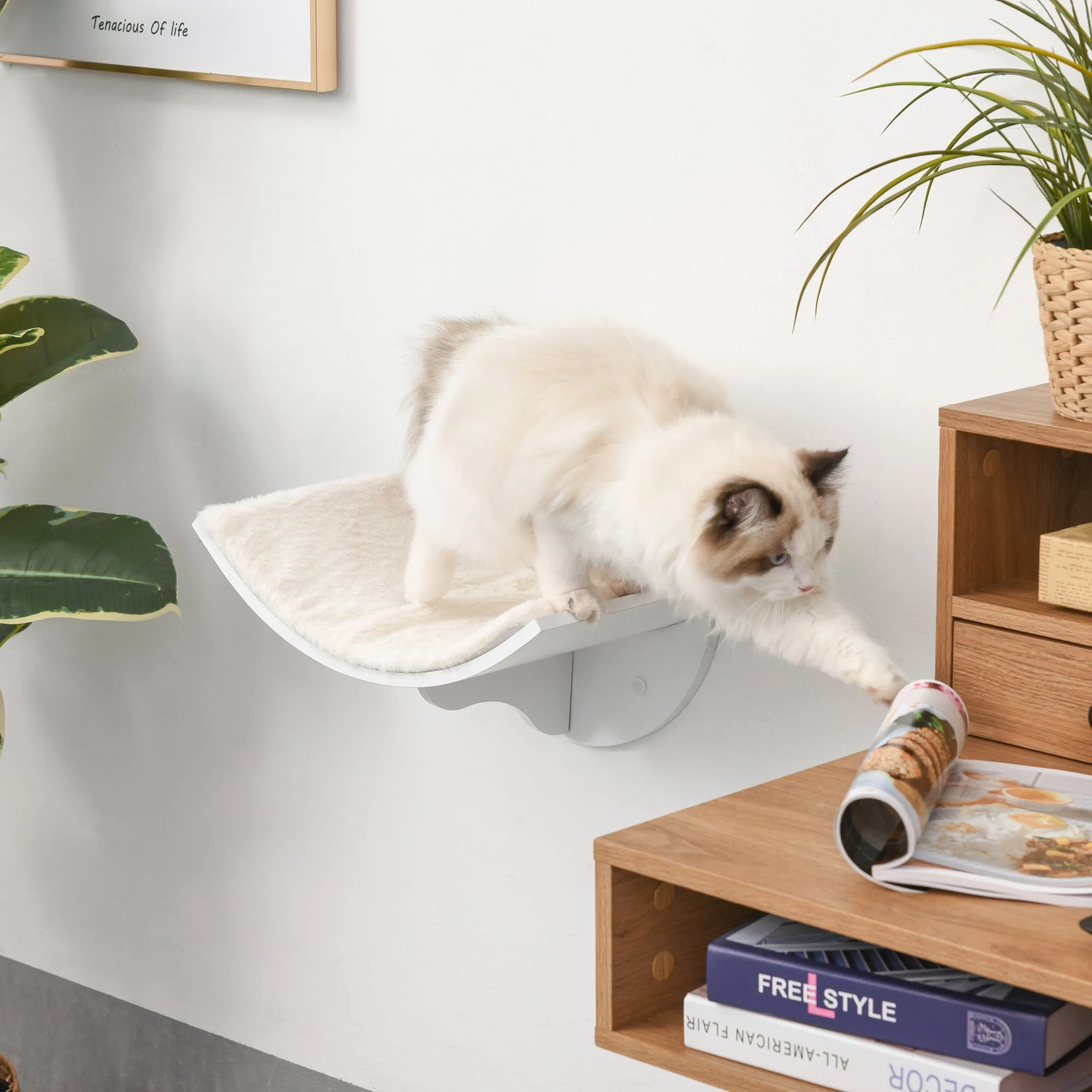 Wood Cat Shelves Wall-Mounted Shelter Curved Kitten Bed Cat Perch Climber Cat Furniture 41 x 28 x 21cm White